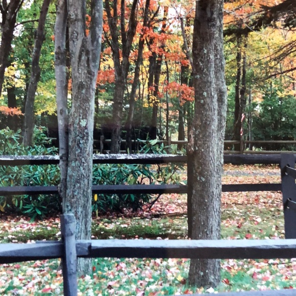 Meet your Posher, Jennifer - Picture 1 of 1